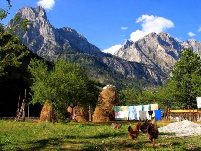 H�hner Garten Albanien