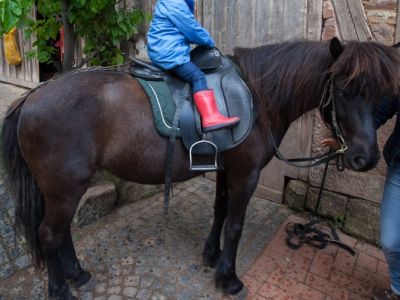 Reiten Pony Pferdebrunnen