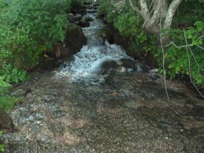 Entlang von Gebirgsb�chen... 