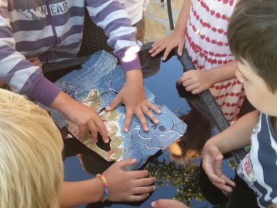 nachhaltig Reisen in griechenland kykladen �g�is