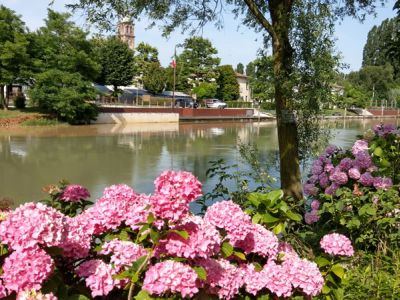 Blumen am Fluss im Naturpark Sile bei Aktivurlaub Italien