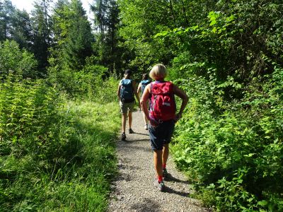 weitwandern k�nig ludwig weg wanderer