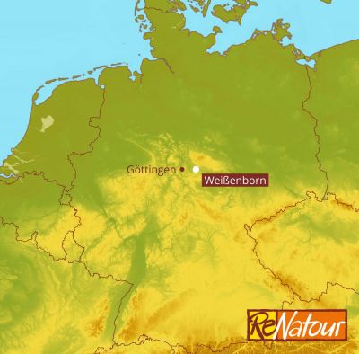 Deutschland Niedersachsen Bio Pension Bioland Urlaub auf dem Bauernhof Reiten