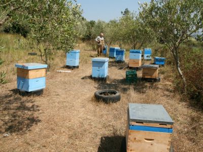 Bio-Bauernhof Agrotourismus Korfu Vraganiotika - Biennen