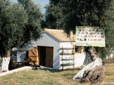 Bei der Olivenholz-Schnitzerei