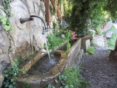 Wochentour mit Esel in S�dfrankreich S�dalpen und Nationalpark