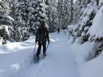Naturerlebnis in kleiner Gruppe am Wilden Kaiser