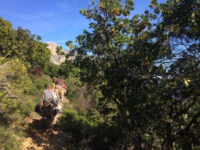 Eselwandern Italien Kinder