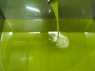 So gr�n sieht das frisch gepresste �l aus.