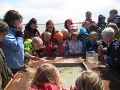 Empfehlenswert ist eine Schifffahrt mit Seetierfangaktion