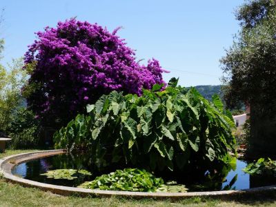Wanderurlaub Wanderreise Wandern Algarve Portugal