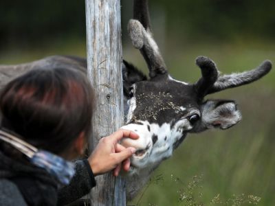 Kleine Streicheleinheiten sind ausdr�cklich erlaubt (Foto: Sandra Peter und Jochen Oetinger)