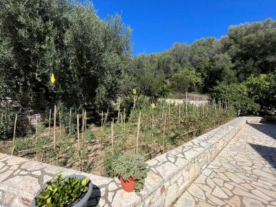 Gem�segarten des Strandhotels