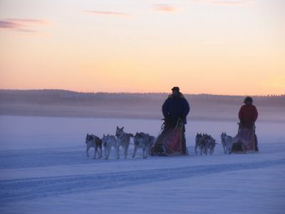 Unvergessliche Erlebnisse in den verschneiten Weiten Lapplands (Foto: Jokkmokkguiderna)