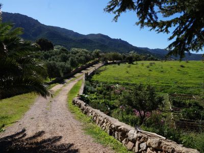 anders alternativ reisen: Agriturismo auf Sardinien