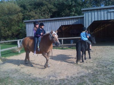Ein Ausflug zum 5 km entfernten Reiterhof darf nicht fehlen