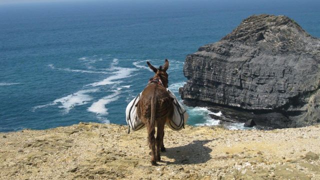 nachhaltig reisen Portugal Algarve Eselwandern individuell