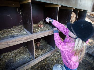 Reiterhof mit Kind niedersachsen Bio-Pension