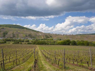 wandern ohne gepaeck eifel weingarten