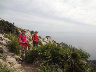 Auf Pilgerwegen durch das Tramuntana Gebirge - K�ste bei Alcudia