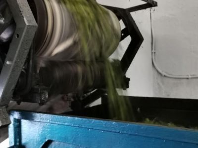 Oliven werden verarbeitet