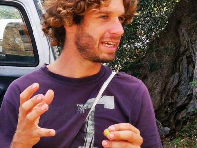 aias varagoulis renatour oliven