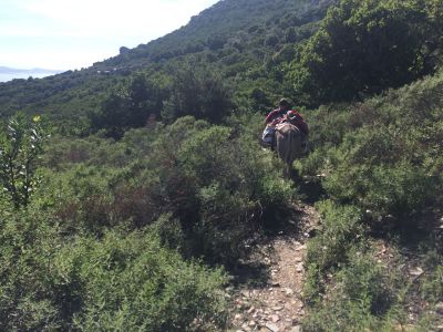 Wandern ohne Gep�ck Familienurlaub