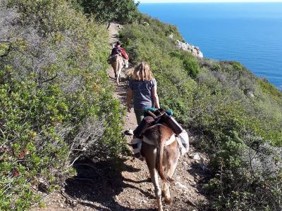 Eselwandern Familienurlaub Mittelmeer