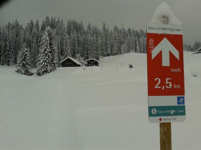 Langlauffreunde finden gut gepflegte Loipen.