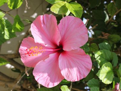 nat�rlich nachhaltig �kologisch reisen Mallorca individuell Single Paare