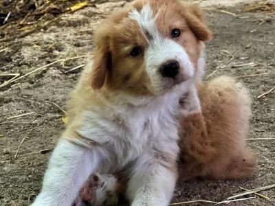 bio bauernhof im cilento nationalpark