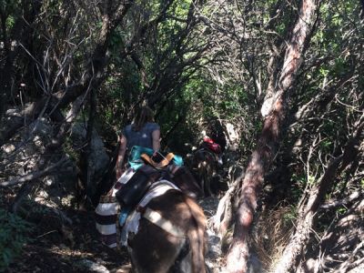 Wanderurlaub mit Kindern Italien