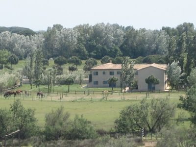 familienurlaub frankreich camargue