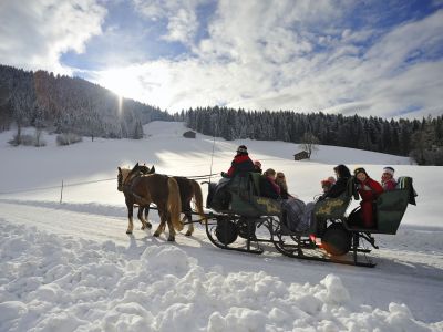 Pferdeschlittenfahrt (� by Hannes Dabernig)