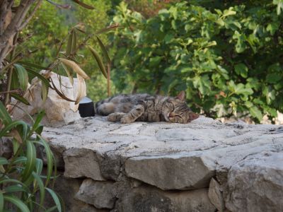 Kultur und Entspannung in Istrien.