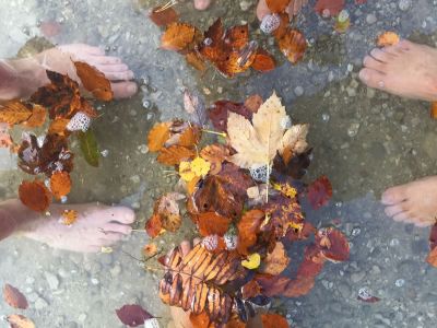 Naturerlebnis in kleiner Gruppe