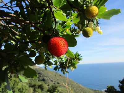 Eseltrekking Sardinien Familie Kinder