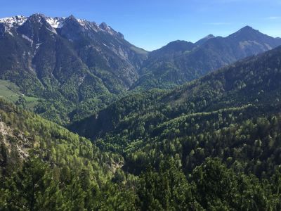 Single-Wanderurlaub in Tirol