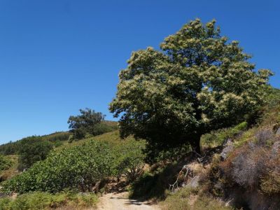 Wanderurlaub Wanderreise Wandern Algarve Portugal