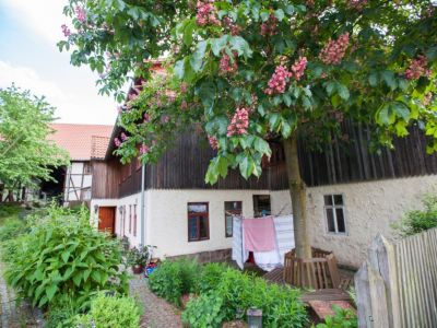 Garten im Bio-Pension Reitulaub in Deutschland.