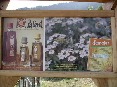 Palent ist ber�hmt f�r seinen Genepy in Bio-Qualit�t.