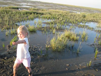 Im Watt gibt es viel zu entdecken.