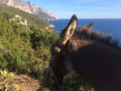 Familienurlaub Wandern mit Kindern Italien