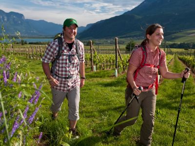 Wanderung durch Obstg�rten bei Kaltern