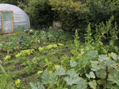 Aus dem hauseigenen Gem�segarten stammt das verwendete Gem�se f�r die Mahlzeiten.