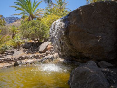 B�ume-Schattiger Platz-Garten-Gran Canaria �kohotel