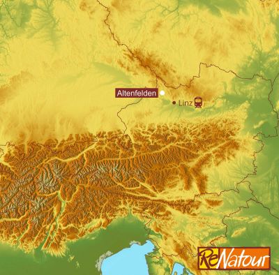 yoga urlaub auszeit muehlviertel altenfelden kleebauerhof �sterreich