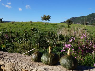 Agriturismo auf Sardinien ruhige Lage