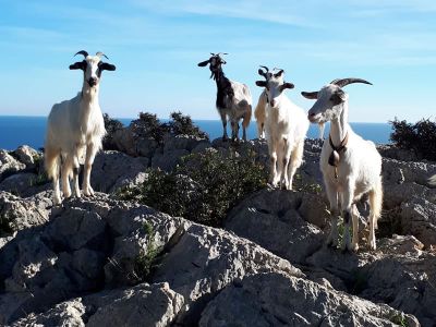 Natururlaub f�r Familien Italien