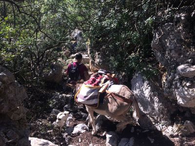 Eseltrekking Sardinien Kinder